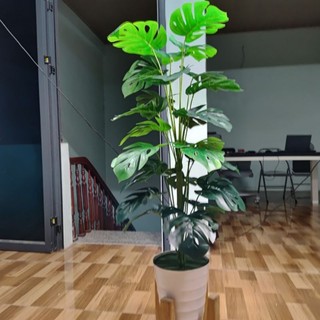 Cây giả, Cây xanh trang trí, Cây trầu bà lá rách cao 90CM