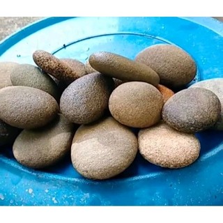Đá kì đá kỳ ghét tẩy tế bào chết đá tự nhiên