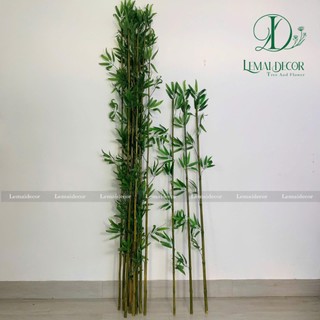 Combo 30 cây trúc dài 1m5 ( LOẠI THƯỜNG)