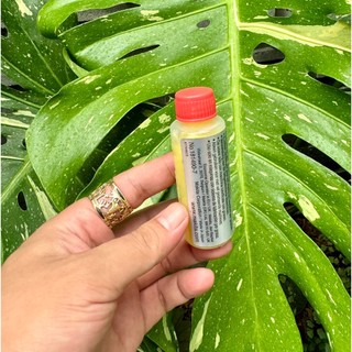 Mỡ bôi trơn cho máy Makita (Made in Japan). BN.