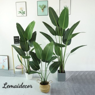 Cây Chuối rẻ quạt 160cm kèm giỏ cói có quai Cây giả decor nội thất