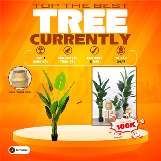 Cây Giả Trang Trí, Cây Cảnh Decor Cây Chuối Giả Trang Trì Phòng Ngủ Phòng Khách Quan Ăn Quán Cafe