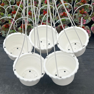  Chậu nhựa treo size lớn 17cm trồng sen đá và dâu tây chậu nhựa trồng sen đá có móc treo trồng cây cảnh combo giá tốt 