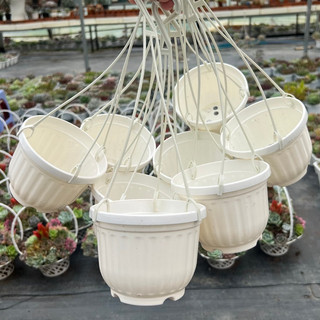 Chậu Nhựa Treo Trồng Cây Mini Size Nhỏ 8x8cm Trồng Sen Đá Và Dâu Tây Pandaa Garden Chậu Nhựa Trồng Sen Đá Có Móc Treo