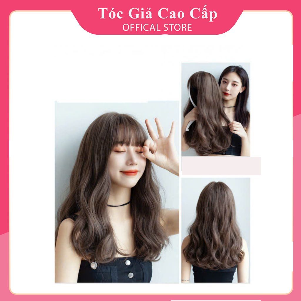 Nguyên đầu xoăn lửng đuôi, 8112