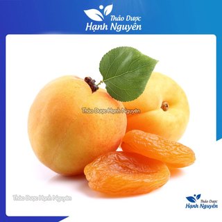 Mơ sấy dẻo không đường 100g - Thảo Dược Hạnh Nguyên
