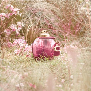 Nước hoa nữ Coach Wild Rose EDP 90ml