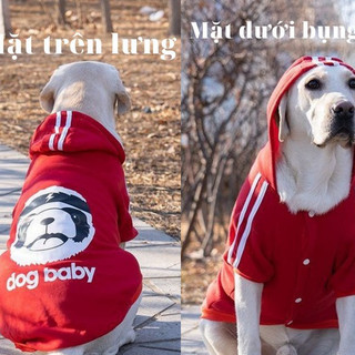 Áo Hoodie Cho Chó Lớn Dog Baby chất liệu thun co giãn cao cấp - SP000611