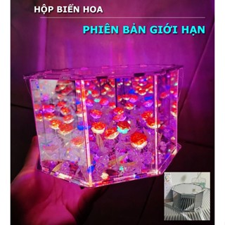 (TÚI QUÀ + BƯỚM) Hộp đèn Hoa Tulip tráng gương 12cm khung vuông lục giác Decor Phòng Ngủ Chill Làm Quà Tặng- 253988