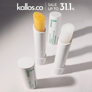 Son Dưỡng Trà Xanh Innisfree Green Tea Lip Balm, Son Dưỡng Mật Ong Innisfree Canola Honey Lip Balm - Kallos Vietnam