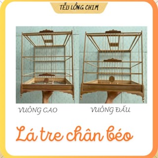 Khung lồng chim chào mào tự ráp chất liệu tre, mẫu mới chân ốp