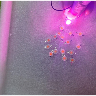 Combo 100 con led tím 1w và cobo 10 con