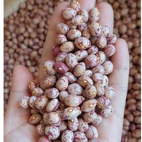 1kg ĐẬU CÚC ĐÀ LẠT