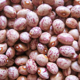 1kg ĐẬU CÚC ĐÀ LẠT