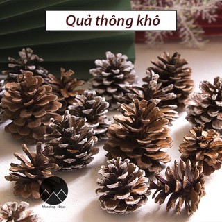 Quả thông khô phủ tuyết trắng phụ kiện chụp ảnh sản phẩm trang trí NOEL giáng sing Maxshopdoc