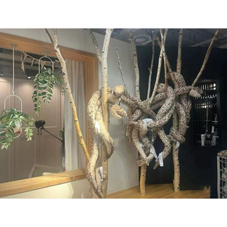 Rắn có rối tay của Ikea