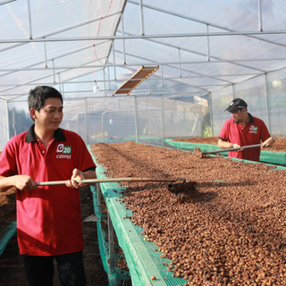 Cà Phê Phin Túi Lọc - G20 COFFEE (Gói)