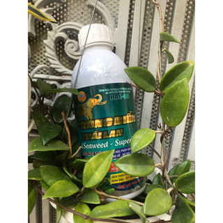 Rong Biển - Thái Lan - phân bón lá siêu tốt cho cây trồng - 1lít