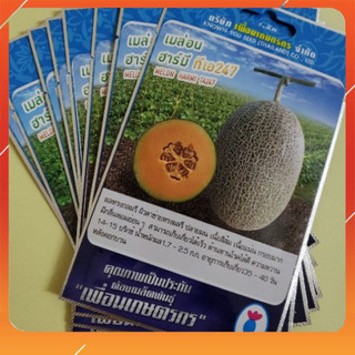 HẠT GIỐNG DƯA LƯỚI HARMI F1 YOU KNOWN SEED (dưa lưới mật ong) - HGNK