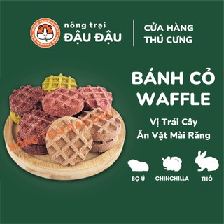 Bánh Cỏ Yến Mạch Waffle Vị Trái Cây Cho Thỏ, Bọ Ú, Chinchilla Ăn Vặt Mài Răng