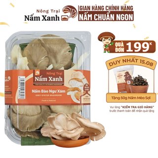 Nấm bào ngư xám tươi 100gr 200gr ngon từ nông trại - nấm xanh
