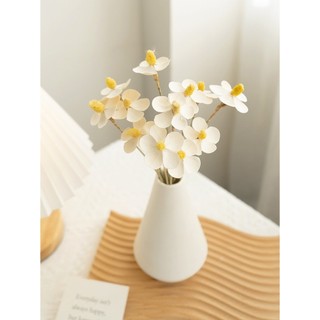 Hoa cúc cánh bướm handmade thật sấy khô