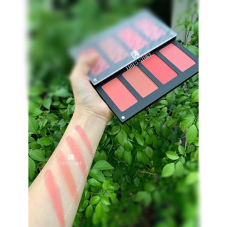 Bảng Má Hồng Inglottt
