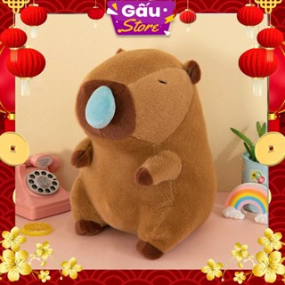 Gấu Bông Capybara, Capybara chảy nước mũi siêu mềm mịn, mũi có thể rút ra vào được ko