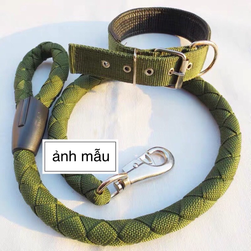 Bộ dây dắt vòng cổ dù có cỡ cho chó