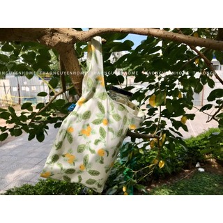 Hạt nấu sữa hạt chất lượng cao (phần 2)