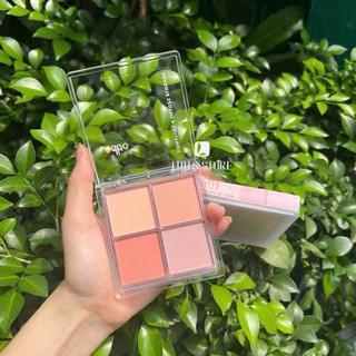 Bảng má hồng Odbo 4 ô