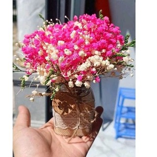 (combo hoa và lọ ) Hoa thật sấy khô mix sẵn trang trí siêu xinh