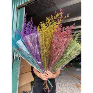 [nhiều màu] bó hoa Tình Nhân ướp màu decor siêu xinh