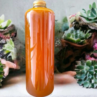Mật ong ruồi rừng