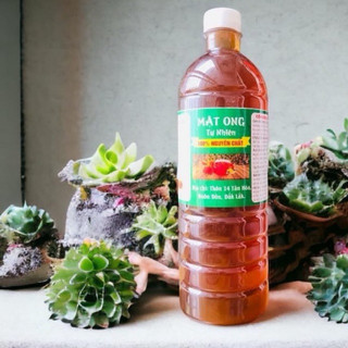 Mật ong hoa cà phê Đắk Lắk nguyên chất 100%