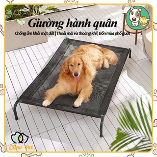 Giường Thú Cưng Lớn Giường Cho Chó Thoáng Khí Và Chống Ẩm Có Thể Giặt Được