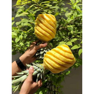 [CHÍNH HÃNG] Dao gọt mắt dứa thơm cán gỗ cao cấp của Xưởng cơ khí Kaiba