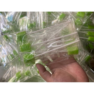 ( hỏa tốc ) que bọt biển vệ sinh răng miệng - set 10 que