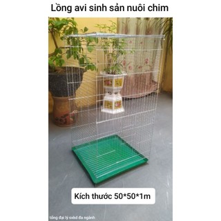 Lồng avi chim gà cảnh các loại động vật
