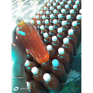 sỉ 5 Lít mật ong hoa cà phê Nguyên chất