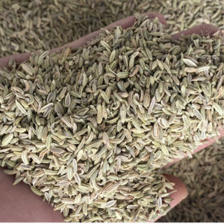 tiểu hồi tiểu hồi hương gia vị ngon rẻ
