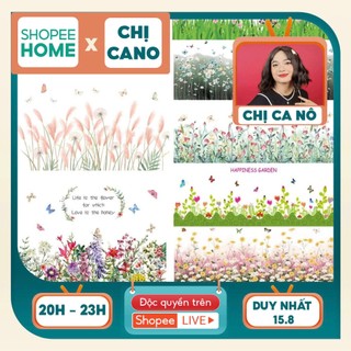 Decal trang trí dán tường - Chân tường hàng rào Hoa Hướng Dương và nhiều mẫu mới
