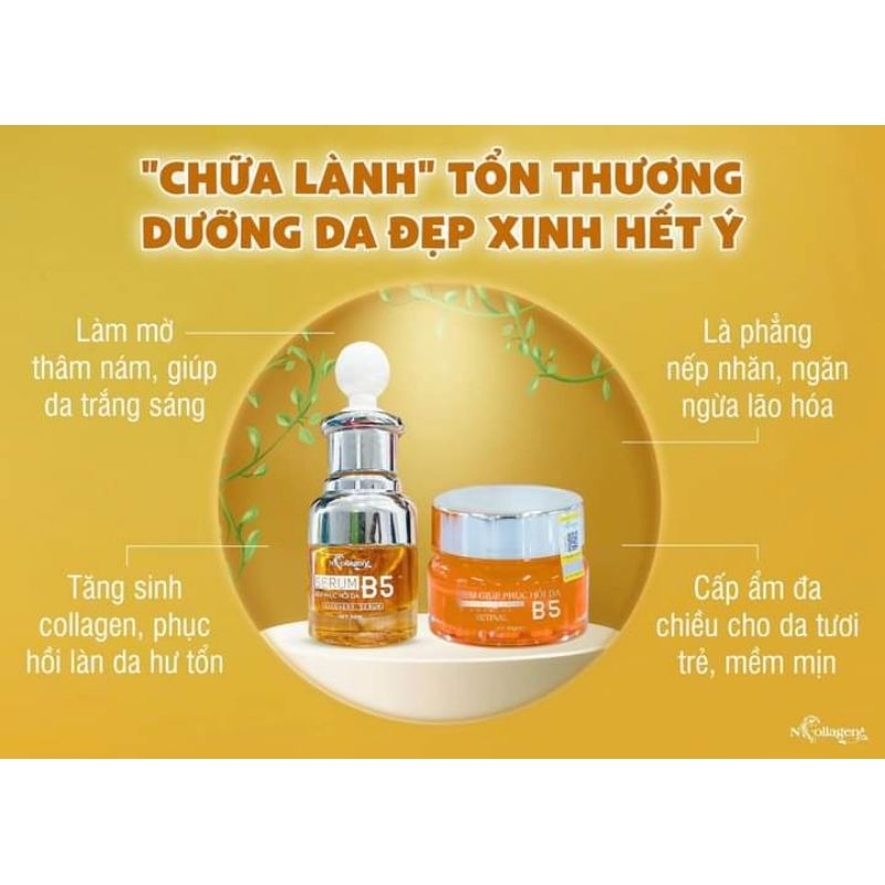 Combo Kem Face + Serum phục hồi B5 Ncollagen