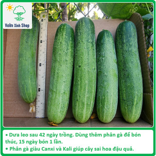 Phân gà hữu cơ, không mùi hôi, phân bón hữu cơ cho rau sạch, hoa hồng, hoa lan, cây cảnh, 5kg