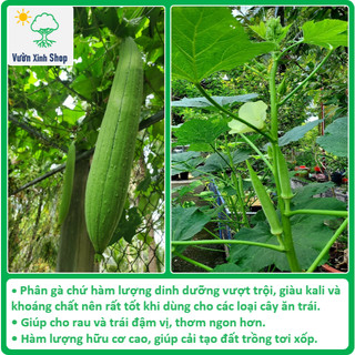 Phân gà hữu cơ, không mùi hôi, phân bón hữu cơ cho rau sạch, hoa hồng, hoa lan, cây cảnh, 5kg