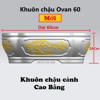 Khuôn đúc chậu cảnh ovan 60 phù hợp trồng cây BonSai