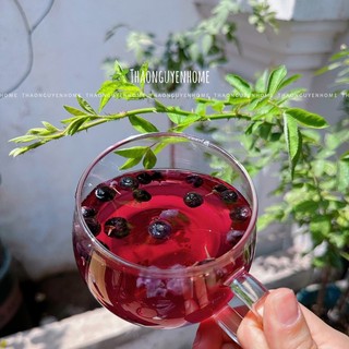 Hắc kỷ tử hoang dã