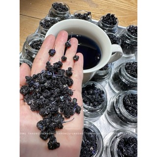 Hắc kỷ tử hoang dã
