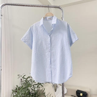 Áo Sơ Mi Nữ Tay Ngắn Sọc Nhí Pastel Trơn Form Rộng Vừa Chất Liệu Cotton Đũi Freesize