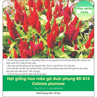 Hạt Giống Hoa Mào Gà Đuôi Phụng Nhiều Màu 0.1gr